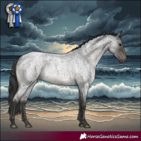 Horse Color:Blue Roan Rabicano 