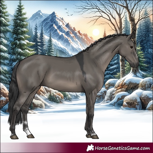Horse Color:Grullo 