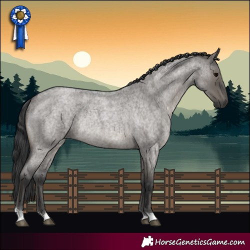 Horse Color:Grullo Roan Rabicano 