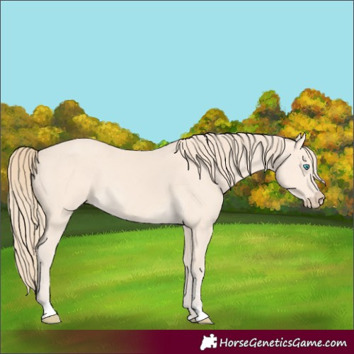 Horse Color:Perlino 