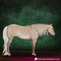 Horse Color:Silver Grullo Rabicano