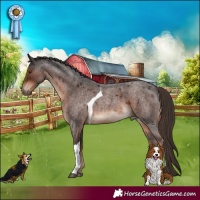 Horse Color:Liver Red Roan Tobiano