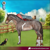 Horse Color:Liver Red Roan Tobiano 