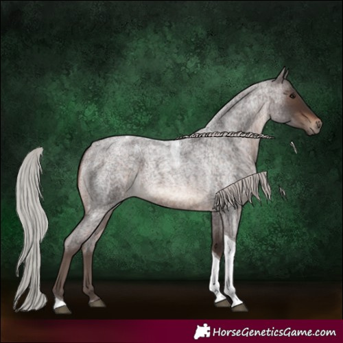 Horse Color:Silver Brown Roan Tobiano 