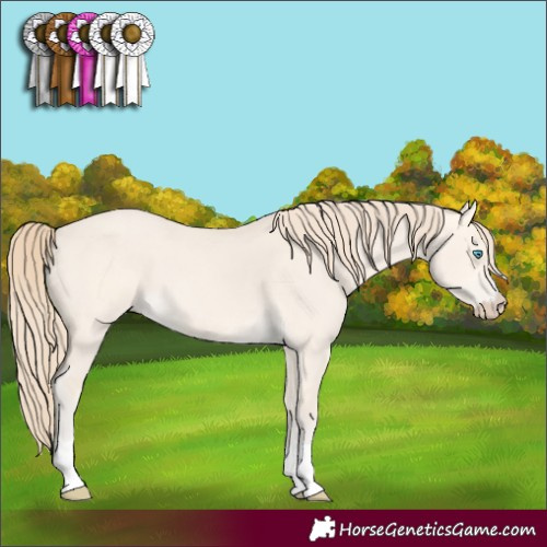 Horse Color:Perlino Dun 