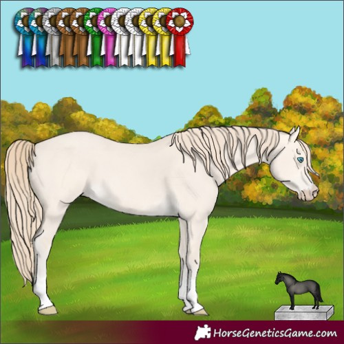 Horse Color:Perlino Dun 