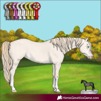 Horse Color:Perlino Dun 