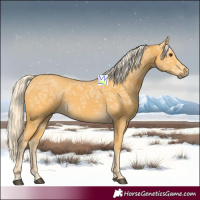 Horse Color:Palomino Ice 