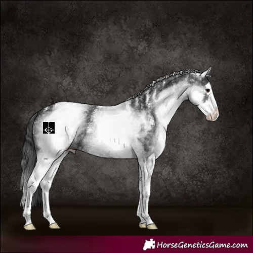 Horse Color:Powder White White Spotted Black Splash