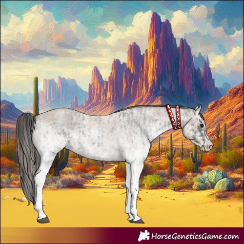 Horse Color:White Spotted Blue Roan Rabicano  and White Spotted Classic Champagne Roan Rabicano 