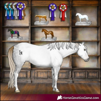 Horse Color:Gray Liver Chestnut Ice Tobiano