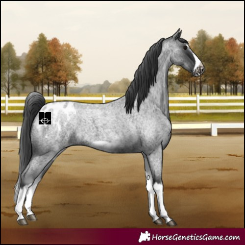 Horse Color:White Spotted Blue Roan Splash Frame Blanket 