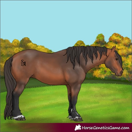 Horse Color:Bay Mushroom 