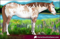 Horse Color:White Spotted Blue Onyx Pearl Frame 