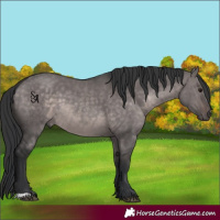 Horse Color:Platinum Brown Dun