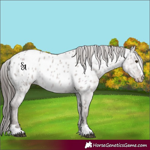 Horse Color:Platinum Liver Red Dun Appaloosa