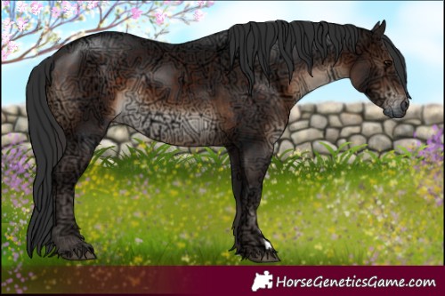 Horse Color:Brown Ice 