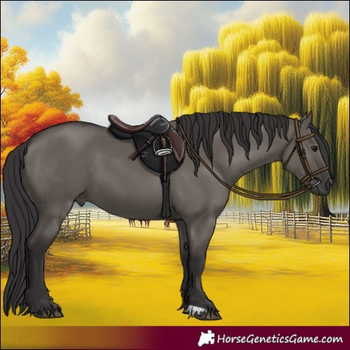 Horse Color:Smoky Grullo