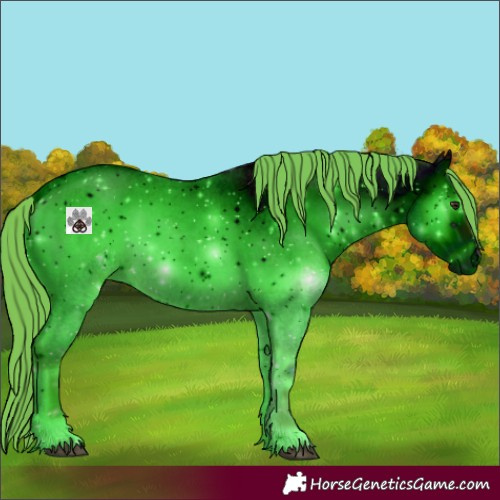 Horse Color:ERROR: UNKNOWN ANOMALY