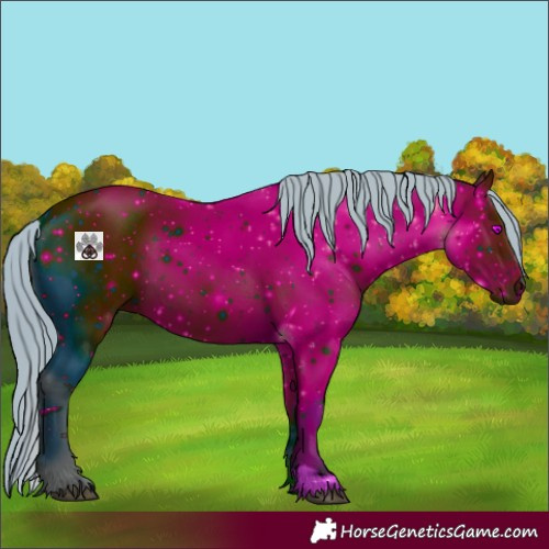 Horse Color:ERROR: UNKNOWN ANOMALY