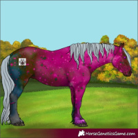 Horse Color:ERROR: UNKNOWN ANOMALY