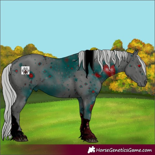 Horse Color:ERROR: UNKNOWN ANOMALY