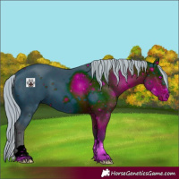 Horse Color:ERROR: UNKNOWN ANOMALY