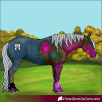 Horse Color:ERROR: UNKNOWN ANOMALY