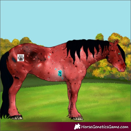 Horse Color:ERROR: UNKNOWN ANOMALY