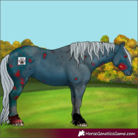 Horse Color:ERROR: UNKNOWN ANOMALY