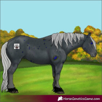 Horse Color:ERROR: UNKNOWN ANOMALY