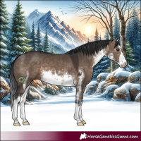 Horse Color:White Spotted Brown Dun 