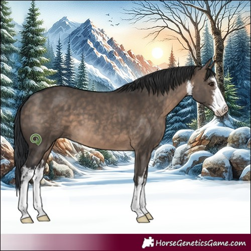 Horse Color:White Spotted Brown Dun