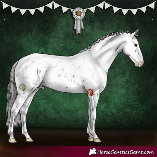 Horse Color:White Spotted Grullo Sabino 