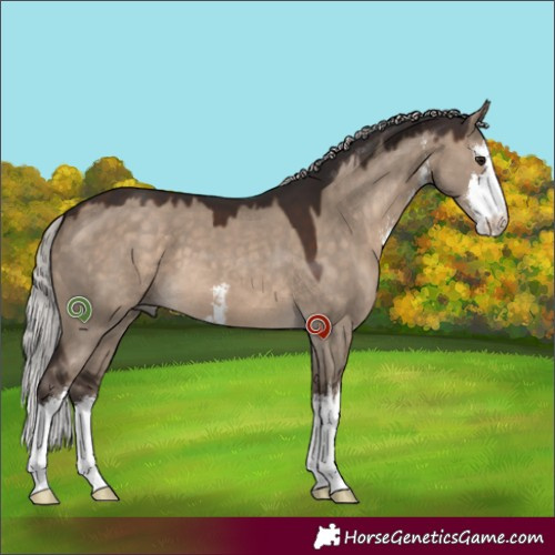 Horse Color:White Spotted Silver Brown Dun 