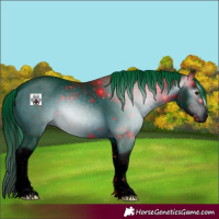 Horse Color:ERROR: UNKNOWN ANOMALY