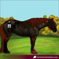 Horse Color:ERROR: UNKNOWN ANOMALY