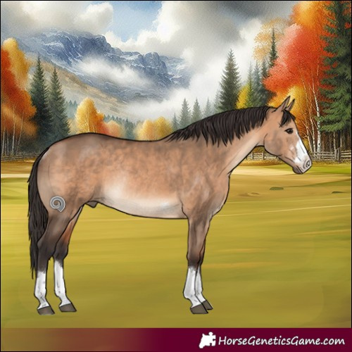 Horse Color:Bay Dun Rabicano 