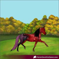 Horse Color:ERROR: UNKNOWN ANOMALY