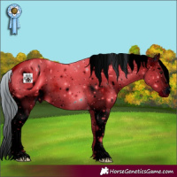 Horse Color:ERROR: UNKNOWN ANOMALY