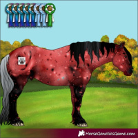 Horse Color:ERROR: UNKNOWN ANOMALY