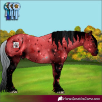 Horse Color:ERROR: UNKNOWN ANOMALY