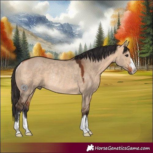 Horse Color:Bay Dun Rabicano 