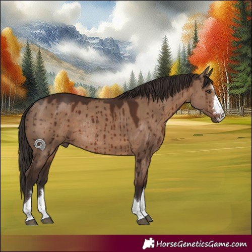 Horse Color:Liver Red Dun Rabicano Brindle