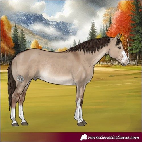 Horse Color:Liver Red Dun Rabicano