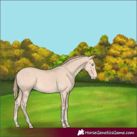 Horse Color:Perlino 