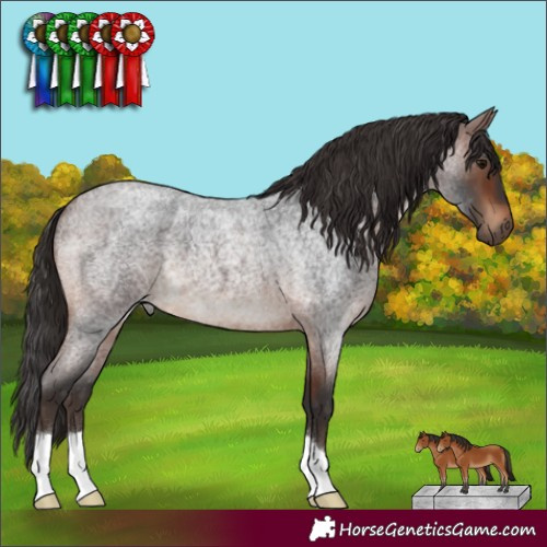 Horse Color:Brown Roan 