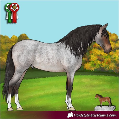 Horse Color:Brown Roan 
