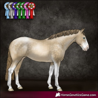Horse Color:Buckskin Pearl Sabino Tobiano 