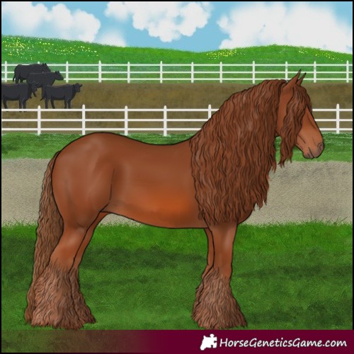 Horse Color:Chestnut 